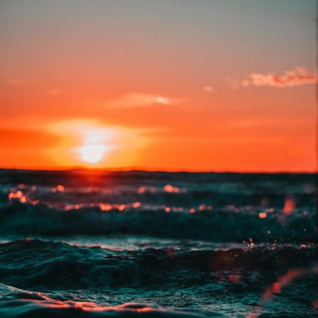 pexels-13nuance-561463